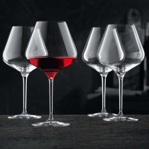 Nachtmann ViNova Bourgogneglas Ballonglas